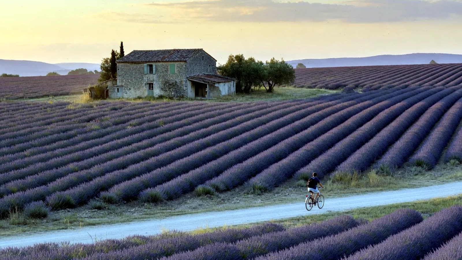Natural Wine in France